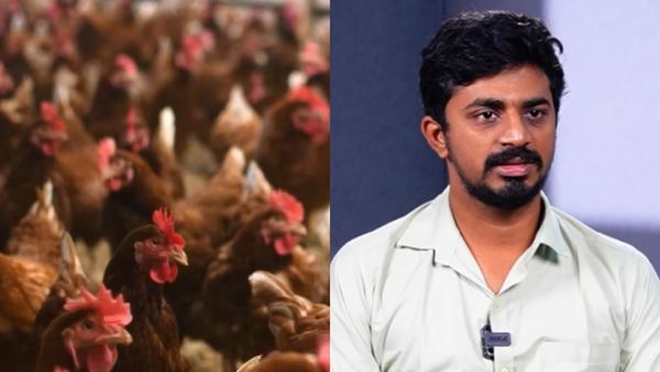 சென்னையை அலறவிடும் பறவை காய்ச்சல்.. மனிதர்களுக்கு பரவுமா? சிக்கன் சாப்பிடலாமா? மருத்துவர் விளக்கம்