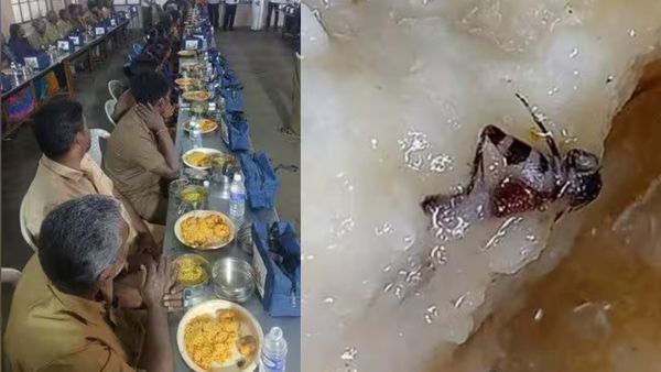 தேனியில் தமிழக அரசின் காலை உணவுத் திட்டம்.. டிபன் பாக்ஸை திறந்ததுமே ஆடிப்போன தூய்மை பணியாளர்! நிஜமா