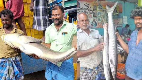 ஈரோட்டில் சிவராத்திரி விரதத்தை சோதித்த 'ஷீலா'..! 2 