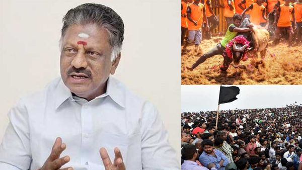 ஜல்லிகட்டு போராட்டத்தின்போது ஓபிஎஸ் செய்த “சித்து விளையாட்டு! ஒரு பிளாஷ்பேக்