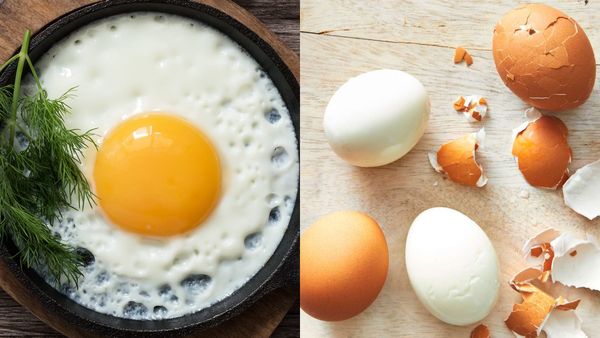 Best time to eat Eggs: முட்டை சாப்பிட சிறந்த நேரம் எது? காலையா? மதியமா?