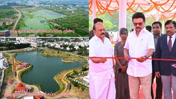 நாவலூர் ஏரி மொத்தமா மாறிடுச்சு.. சிப்காட் ஐடி பார்க் வளாகத்தில் அழகாக உருவான சுற்றுச்சூழல் பூங்கா!