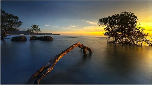 தமிழகத்திற்கு காத்திருக்கும் ஆபத்து.. இந்திய பெருங்கடலில் நடக்கும் மாற்றம்! விஞ்ஞானிகள் வார்னிங்