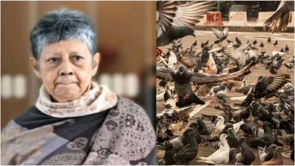 சிங்கப்பூரில் இந்திய பெண்ணுக்கு லட்சக்கணக்கில் அபராதம்.. இந்தியர்களே இந்த தவறை மட்டும் செய்யாதீங்க!