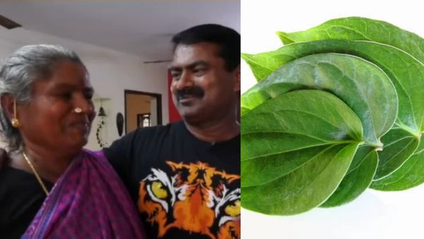 முதல்முறையாக களமிறங்கிய சீமானின் தாயார்.. வீடு வீடாக வெற்றிலை பாக்கு வைத்து.. மாநாட்டிற்கு அழைப்பு!