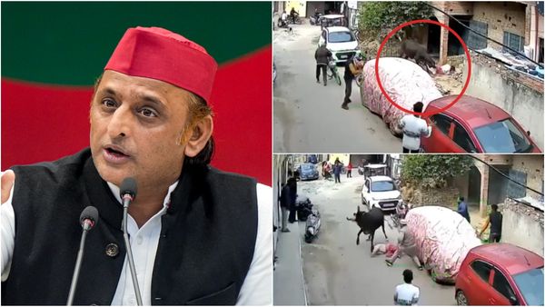 புல் & புல்டோசர்.. இரண்டிற்கும் மக்கள் முற்றுப்புள்ளி வைப்பார்கள்.. யோகி அரசை விளாசிய அகிலேஷ் யாதவ்