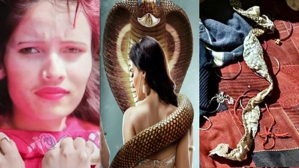 பாம்பு சட்டையை படுக்கையில் உரித்து போட்ட பெண்.. தோலை உரித்து நாகினியாக மாறி.. எகிறி ஓடிய மக்கள்