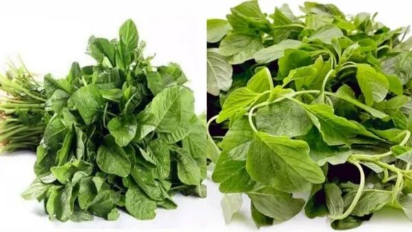 கல்லீரலை காக்கும் அரைக்கீரை.. கஷாயம் தரும் பயன்கள்! 21 நாட்களில் உடலில் நடக்கும் அந்த மிராக்கிள்