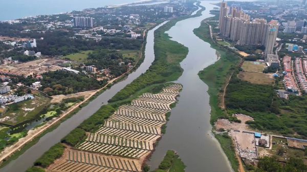 வணக்கம் சென்னை.. இது உங்களின் 3வது சதுப்பு நிலக்காடு.. பள்ளிக்கரணை பாணியில் பிரம்மாண்டம்