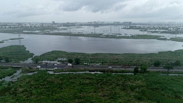 பள்ளிக்கரணை சதுப்பு நிலத்தை சுற்றி கட்டுமானங்களுக்கு தடை! பசுமை தீர்ப்பாய உத்தரவை எதிர்த்து வழக்கு!