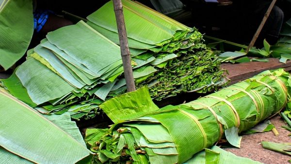 இஸ்ரேல் ஈரானை அடிச்சா.. வத்தலக்குண்டுக்கு வலிக்கும்! வாழ வைக்காத வாழை இலை! வதங்கும் விவசாயிகள்!