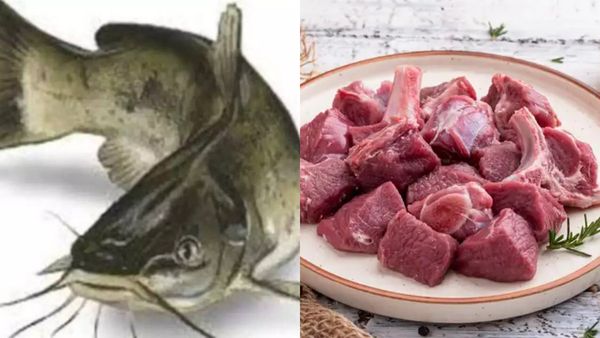 மட்டன் லவ்வர்ஸ் உஷார்.. ஆட்டின் இந்த பாகத்தை மட்டும் தெரியாம கூட வாங்கி சாப்பிடாதீங்க! வெளியான பகீர்