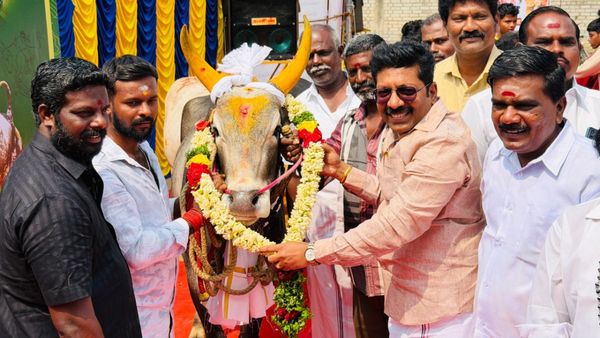 தேர்தல் களை வந்துருச்சு..மல்லுக்கட்டும் மதுரை தலைகள்! ஜல்லிக்கட்டு பக்கம் திரும்பிய டாக்டர்.சரவணன்!