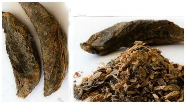 வாரிசு யோகம் தரும் ரகசியம்! புதுமண தம்பதிகளுக்கு மாசி கருவாடு கொடுக்கப்படும் ரகசியம் என்ன தெரியுமா?