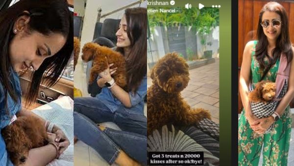 திரிஷாவின் செல்ல நாய் ‘இஸ்ஸி’! எந்த வகை நாய் தெரியுமா? இத்தனை சிறப்புகளாம்! இதனால் தான் ஸ்பெஷல் போல!