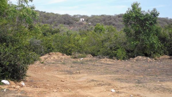 செங்கல்பட்டு மலையில் மாணவர்கள் ஜாலி டிரக்கிங்.. கனவிலும் நினைக்காத சம்பவம்