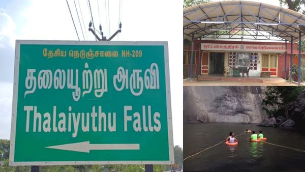 ஒட்டன்சத்திரம் தளையூத்து அருவிக்கு வந்த 11 நண்பர்கள்! நீரில் மூழ்கி 4 பேர் பலியான சோகம்!