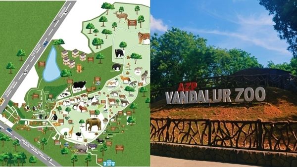 வண்டலூரில் டபுள் சர்ப்ரைஸ்! உயிரியல் பூங்காவுக்கு வந்த குஜராத் விருந்தாளி! சுற்றுலா பயணிகள் ஹேப்பி
