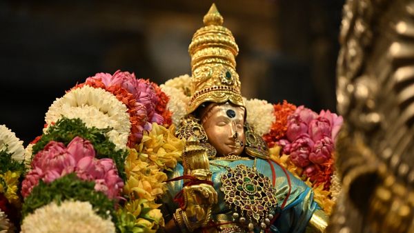 மீனாட்சிக்காக பிச்சை எடுத்து வந்த சுந்தரேஸ்வரர்..யாழிவாகனத்தில் வீதி உலா வந்த அன்னை! சிலிர்த்த மதுரை