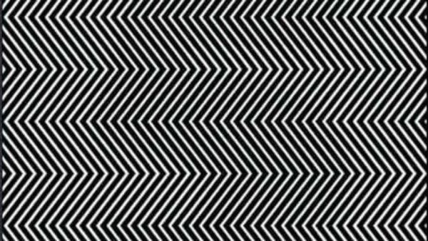 Optical Illusion: படத்தை உற்று பாருங்க! ஒளிஞ்சிருக்கும் நம்பரை கண்டுபிடிங்க! 21 விநாடிகள்தான் டைம்!