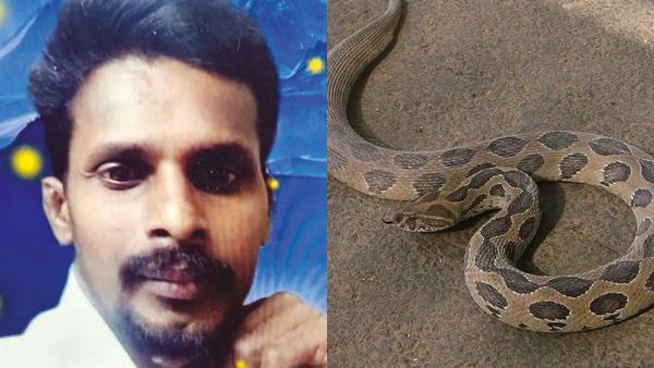 கோவையில் நாய் குட்டியை காப்பாற்ற முயன்றவர்.. யாருமே செய்யக்கூடாத சிறு தவறு