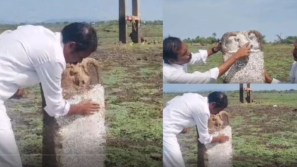 சிவகங்கையில் 13 ஆம் நூற்றாண்டை சேர்ந்த ஆசிரியம் கல்வெட்டு கண்டெடுப்பு! வியந்து பார்த்த மக்கள்