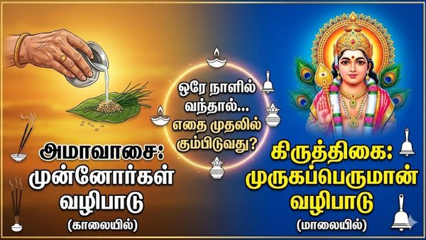 Amavasya: இன்று அமாவாசையும் கிருத்திகையும்! ஒரே நாளில் வந்தால் எதை, எப்படி வணங்குவது?