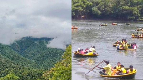 கோயம்புத்தூர் போனால் காரமடைக்கு காரை திருப்புங்க.. வனத்துறை தந்த இன்ப அதிர்ச்சி