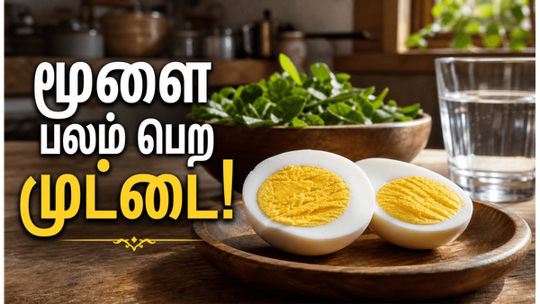 முட்டை சாப்பிட்டால் மூளை மின்னல் வேகத்தில் வேலை செய்யுமா? இதோ ஆச்சரியமான உண்மைகள்!