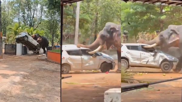 காரை பந்து போல் தூக்கி போட்டு ருத்ரதாண்டவம் ஆடிய யானை.. கேரள சம்பவத்தின் சாட்சி வீடியோ