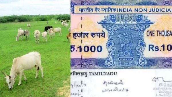 கிராம நத்தம், மேய்க்கால் நிலங்களுக்கு இடையே வித்தியாசம் என்ன தெரியுமா? எதற்கு பட்டா கிடைக்கும்