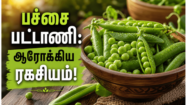 பச்சை பட்டாணி சாப்பிடுவதால் கிடைக்கும் அபார நன்மைகள்! ஆரோக்கிய ரகசியம் இதோ!