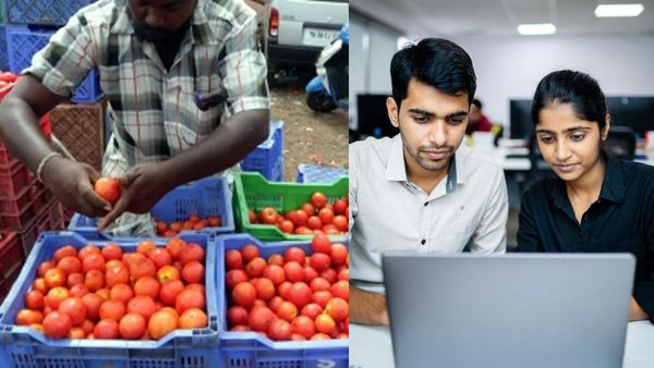 தக்காளி விவசாயிகளும், ஐடி ஊழியர்களும் ஒன்னு.. AI துறையில் மிகப்பெரிய தவறு செய்யும் இந்தியா!