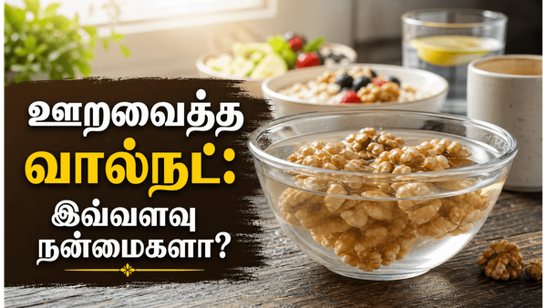 தினமும் ஊறவைத்த வால்நட் 2 சாப்பிடுங்க.. அப்புறம் பாருங்க உங்க உடம்புல நடக்குற மேஜிக்கை!