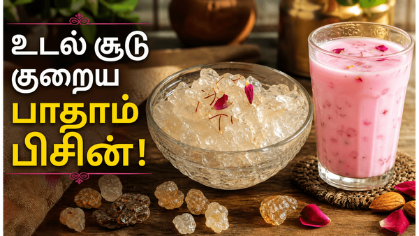 உடல் சூட்டை தணிக்கும் பாதாம் பிசின்! இத்தனை நன்மைகளா? பயன்படுத்தும் சரியான முறை இதோ!