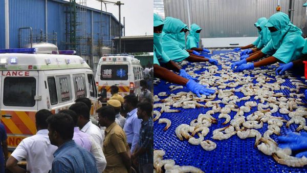 திருவள்ளூர் இறால் பதப்படுத்தும் ஆலையில் அமோனியா கேஸ் கசிவு! 7 பேர் பலியான சோகம்! அமைச்சர் ஆய்வு!