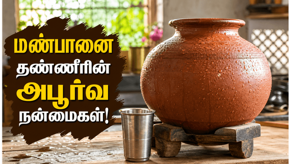 மண்பானை தண்ணீர் குடிப்பதால் இவ்வளவு நன்மைகளா? கோடையில் மிஸ் பண்ணாதீங்க!