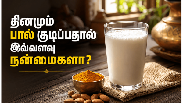 பசும்பால் குடிப்பதால் இவ்வளவு நன்மைகளா? எலும்பு முதல் இதயம் வரை - முழு விவரம்!