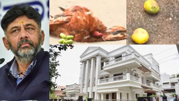 கர்நாடக முதல்வர் டிகே சிவக்குமாருக்கு சூனியம்? பெங்களூர் வீட்டருகே தலையின்றி கிடந்த சேவல் + எலுமிச்சையால் ஷாக்