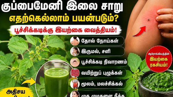 குப்பையில் கிடக்கும் தங்கம்! பூச்சிக்கடிக்கு அருமருந்து! குப்பைமேனியை பயன்படுத்துவது எப்படி?