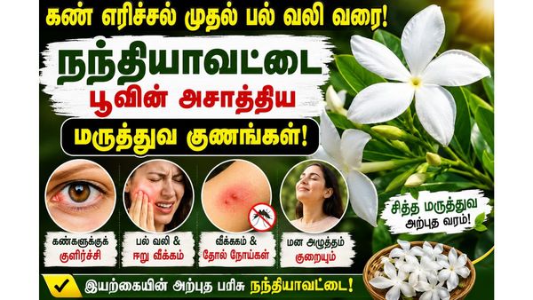 கண் எரிச்சல் முதல் பல் வலி வரை: நந்தியாவட்டை பூவின் அசாத்திய மருத்துவ குணங்கள்!