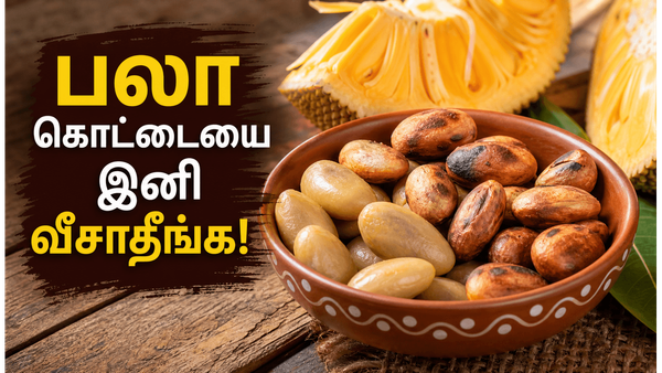 பலா கொட்டையில் இவ்வளவு நன்மைகளா? நோய் எதிர்ப்பு சக்தியை அதிகரிக்க இதை இப்படி சாப்பிடுங்க!