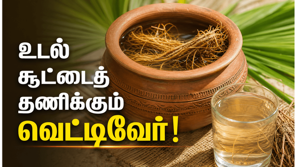 வெட்டிவேர் தண்ணீரை வெறும் வயிற்றில் குடித்தால் இவ்வளவு நன்மைகளா? இதோ முழு விவரம்!