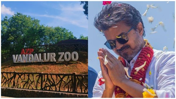 முதல்வர் விஜய் பிறந்த நாள்.. வண்டலூர் பூங்காவில் ஜூன் 21, 22-ல் அனுமதி இலவசம்.. அமைச்சர் விளக்கம்