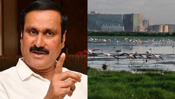 Marsh Lands: பள்ளிக்கரணை சதுப்பு நிலம் சூறையாடல்! ஆபத்தை விலை கொடுத்து வாங்காதீர்! அன்புமணி கண்டனம்