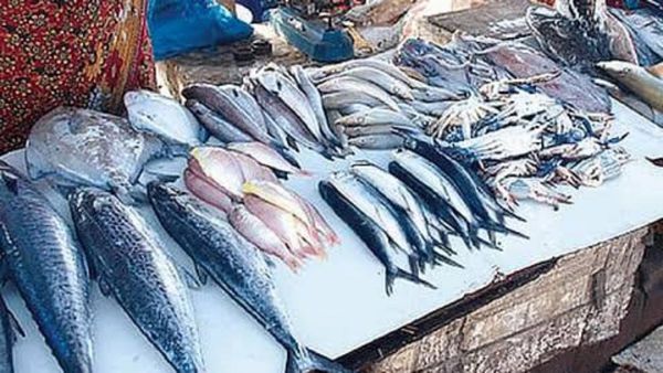 கூடை கூடையாக திருப்பூர் மார்க்கெட்டில் மீன்கள்.. விலையைக் கேட்டு திக்குமுக்காடிய அசைவப் பிரியர்கள்