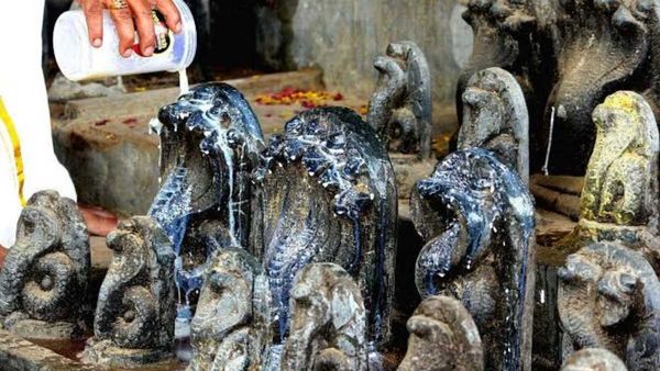 Naga Panchami 2026: நாக பஞ்சமி எப்போது? நாகர்களுக்கு பூஜை செய்ய நல்ல நேரம் எது?