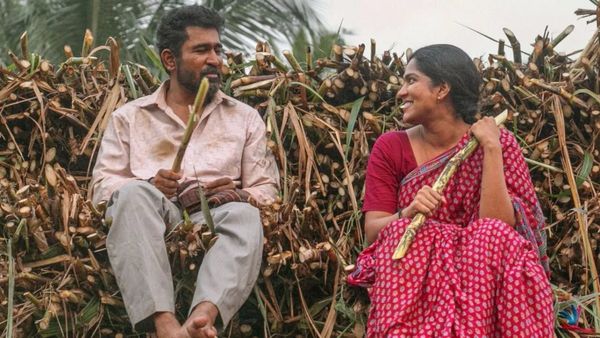 ஓடிடியில் வரும் விஜய் ஆண்டனியின் நூறு சாமி.. அதுவும் எந்த தளத்தில், எப்போது பார்க்கலாம்?