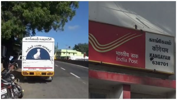 திருப்பூரில் மூட்டை மூட்டையாக தபால்...  நாய்களை கட்டி வைத்து மறைத்தவர்.. சிக்கியது எப்படி?