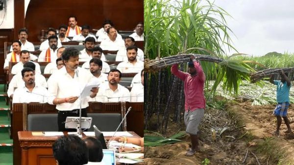 கரும்பு விவசாயிகளுக்கு இனிப்பான செய்தி..டன்னுக்கு ரூ.709! திமுக எதுவுமே செய்யவில்லையா? பறந்த கண்டனம்